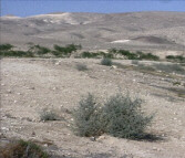 The Plain and Summit at Yeroham