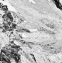 Satellite image of large object on Mt. Cilo, where Dr. Aardsma proposes Noah's ark came to rest.