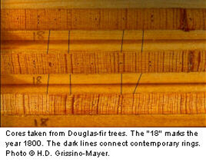 Tree-rings play a vital role in the harmonization of biblical and secular chronologies of earth history.