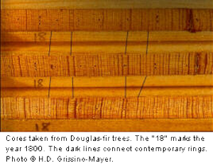 Tree-rings play a vital role in the harmonization of biblical and secular chronologies of earth history.