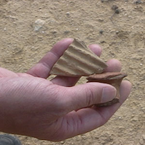 More pottery shards from the plain before the true Mt. Sanai.