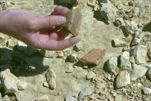Pottery Shards from Sinai